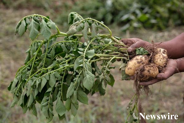 MPA PHOTO-2022-4086-mobile.jpg