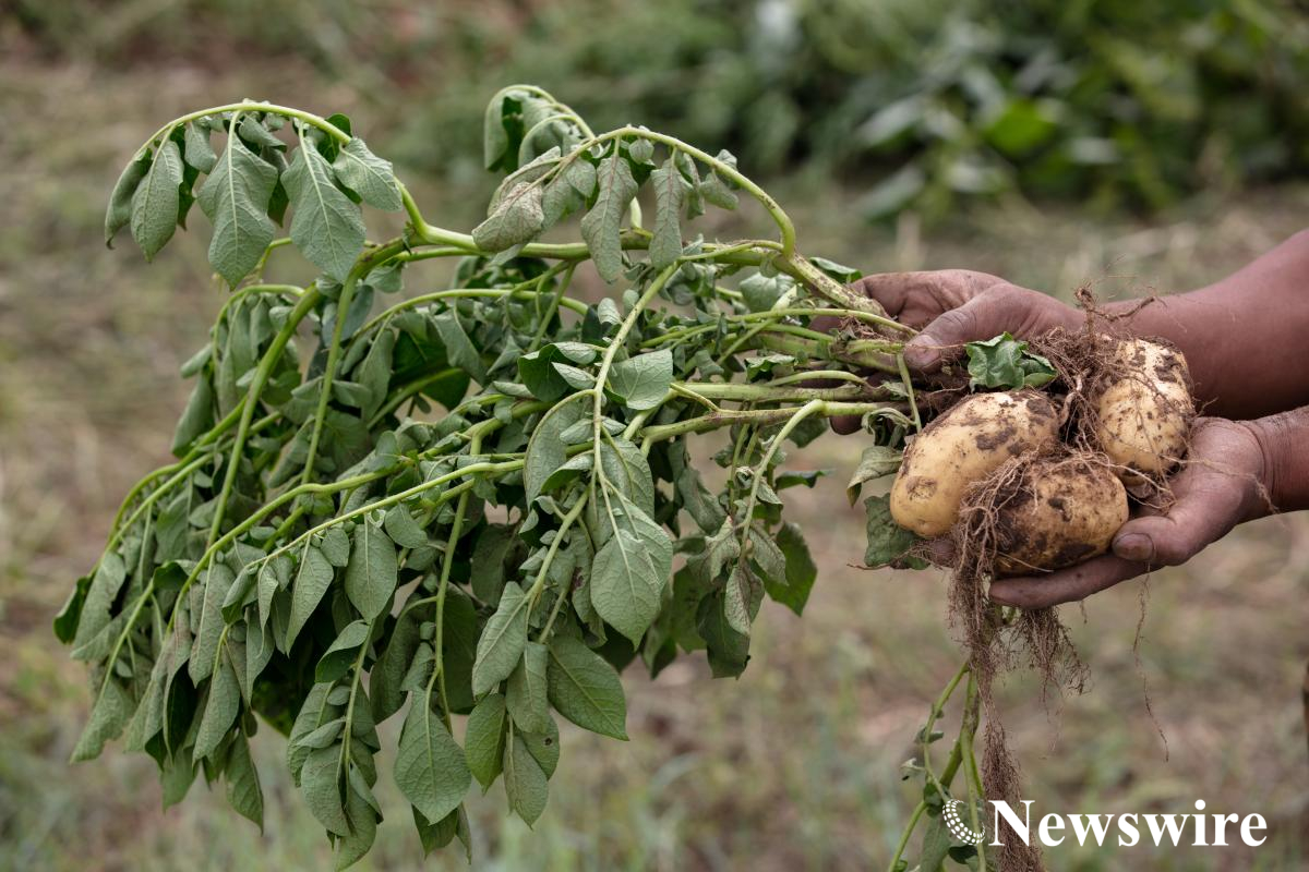 MPA PHOTO-2022-4086.jpg