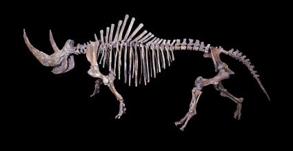 Coelodonta_antiquitatis_-mobile.jpg