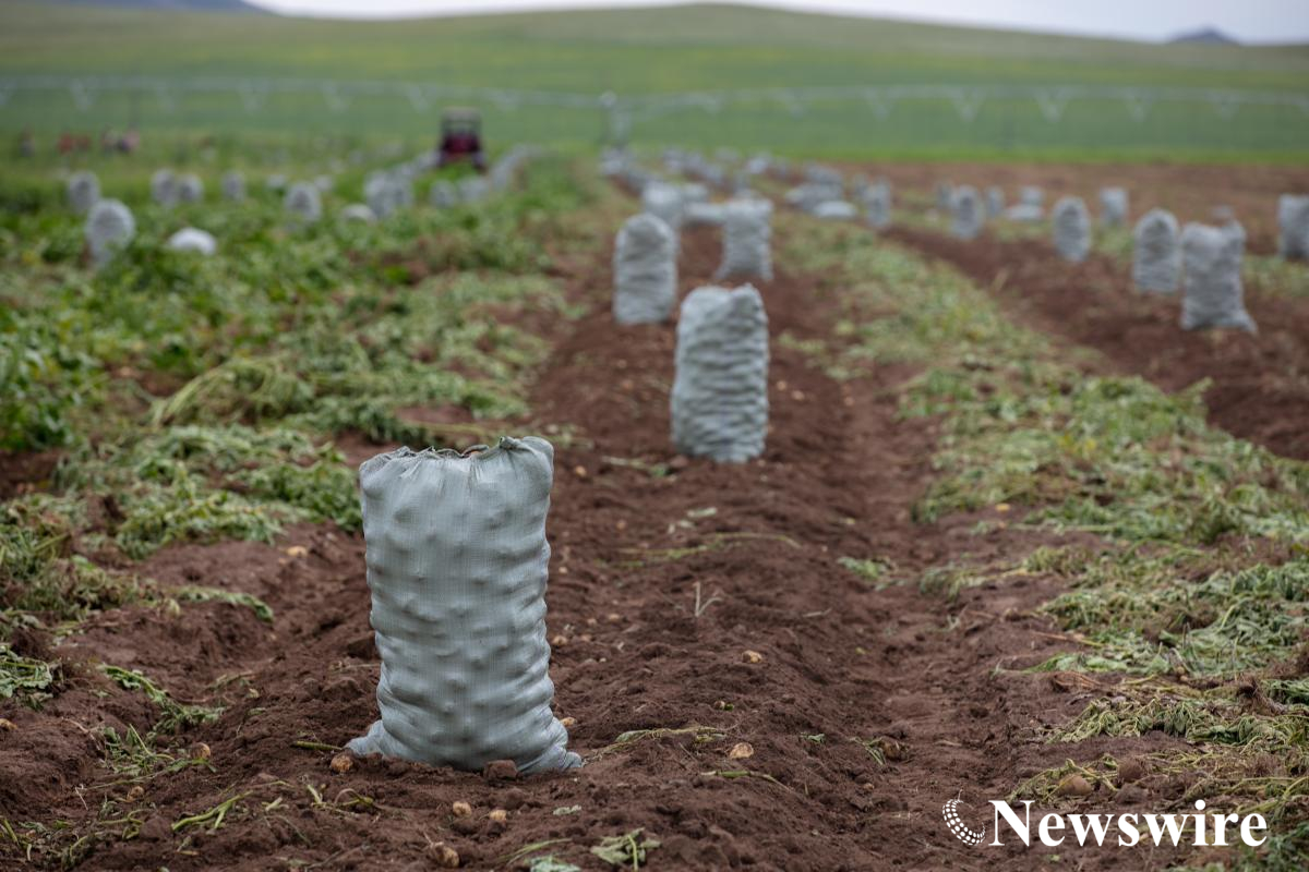 MPA PHOTO-2022-4050.jpg