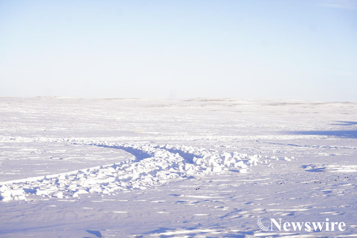 MPA PHOTO2024-04642.jpg