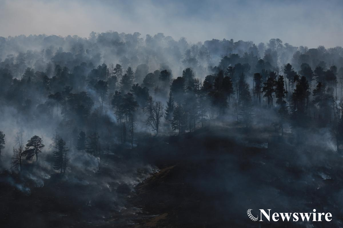 MPA PHOTO 2017 -5873.jpg