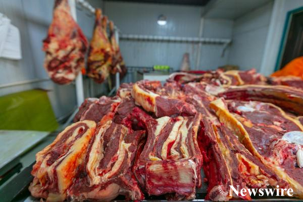 untitled-15 (3)-mobile.jpg