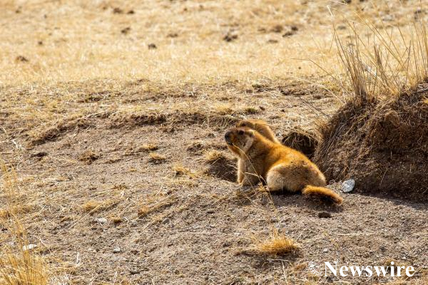 MPA PHOTO2020-7-1529-mobile.jpg