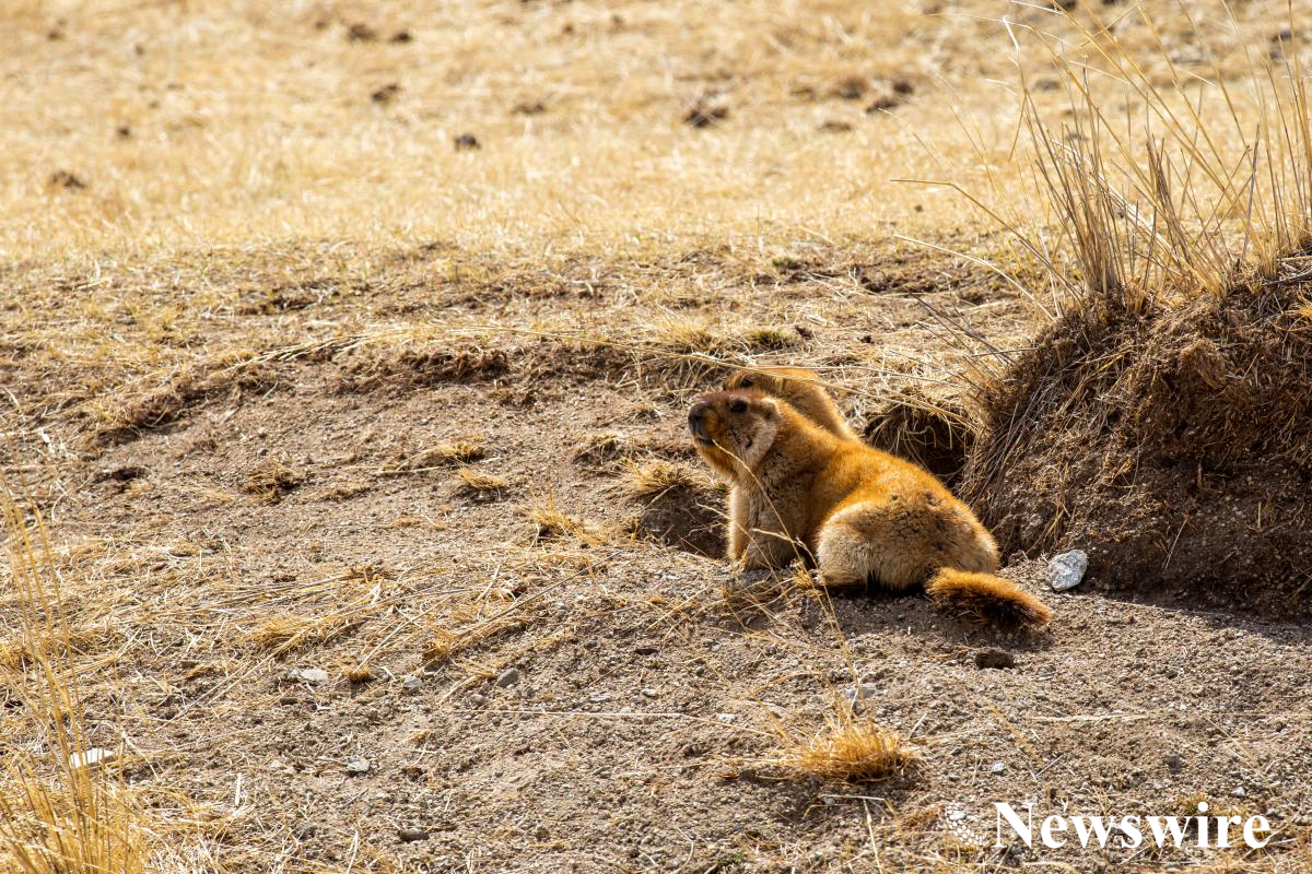 MPA PHOTO2020-7-1529.jpg