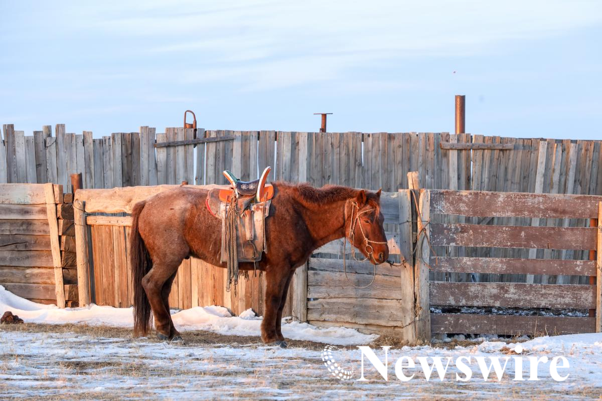 MPA PHOTO 2025-7924.jpg