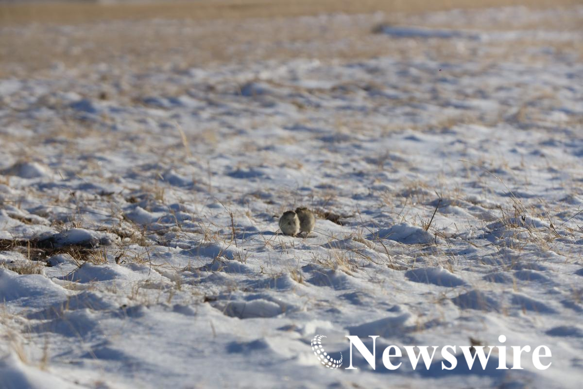 MPA PHOTO 2025-7940.jpg