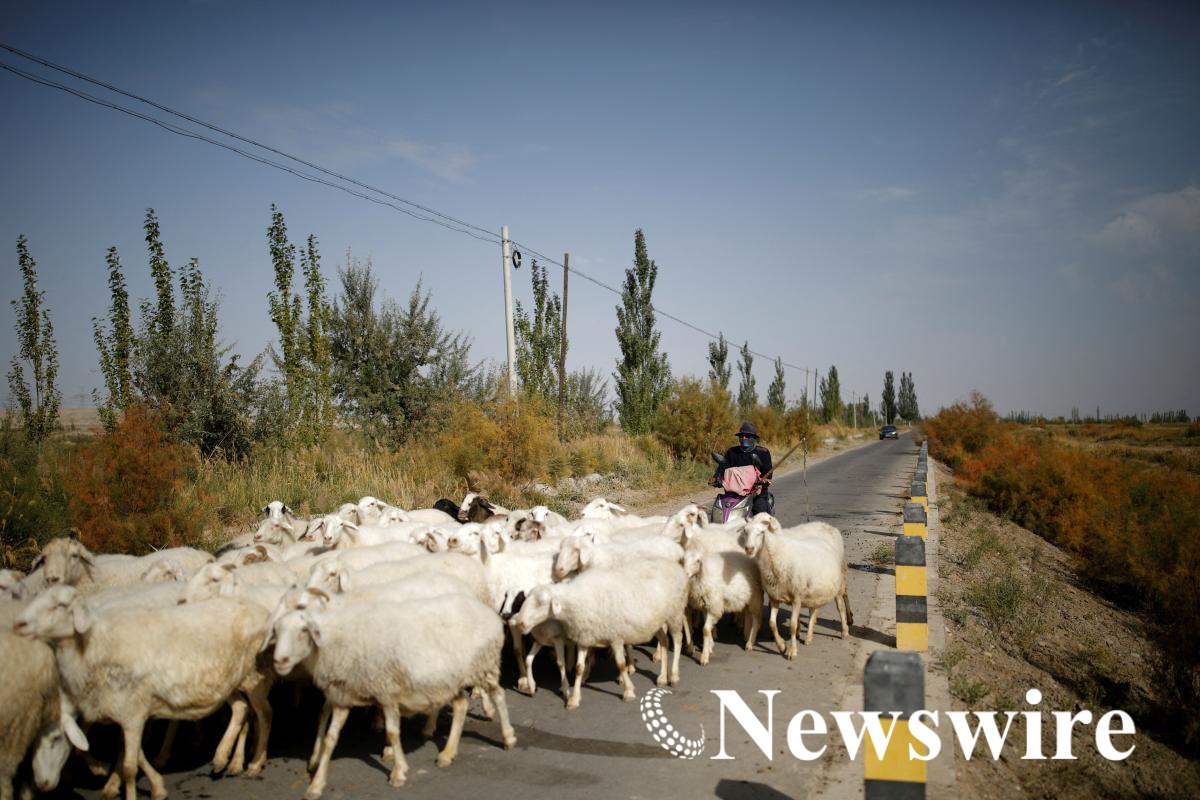 2026-05-27T060104Z_114561574_RC2HHLAFWLGX_RTRMADP_3_CHINA-ECONOMY-JOBS.JPG