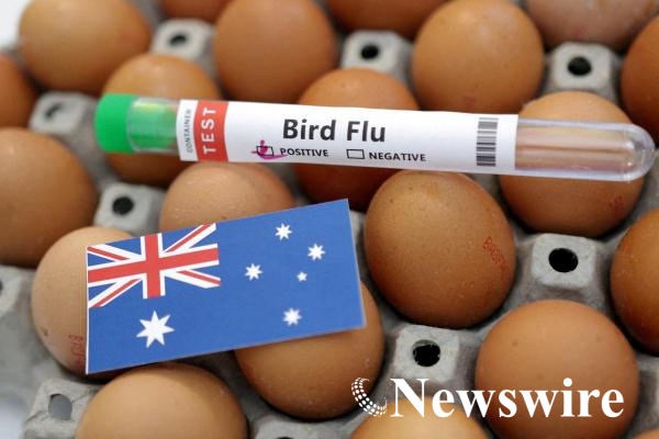 2026-07-05T011534Z_881294758_RC22BZ9O6IZD_RTRMADP_3_HEALTH-BIRDFLU-AUSTRALIA.JPG