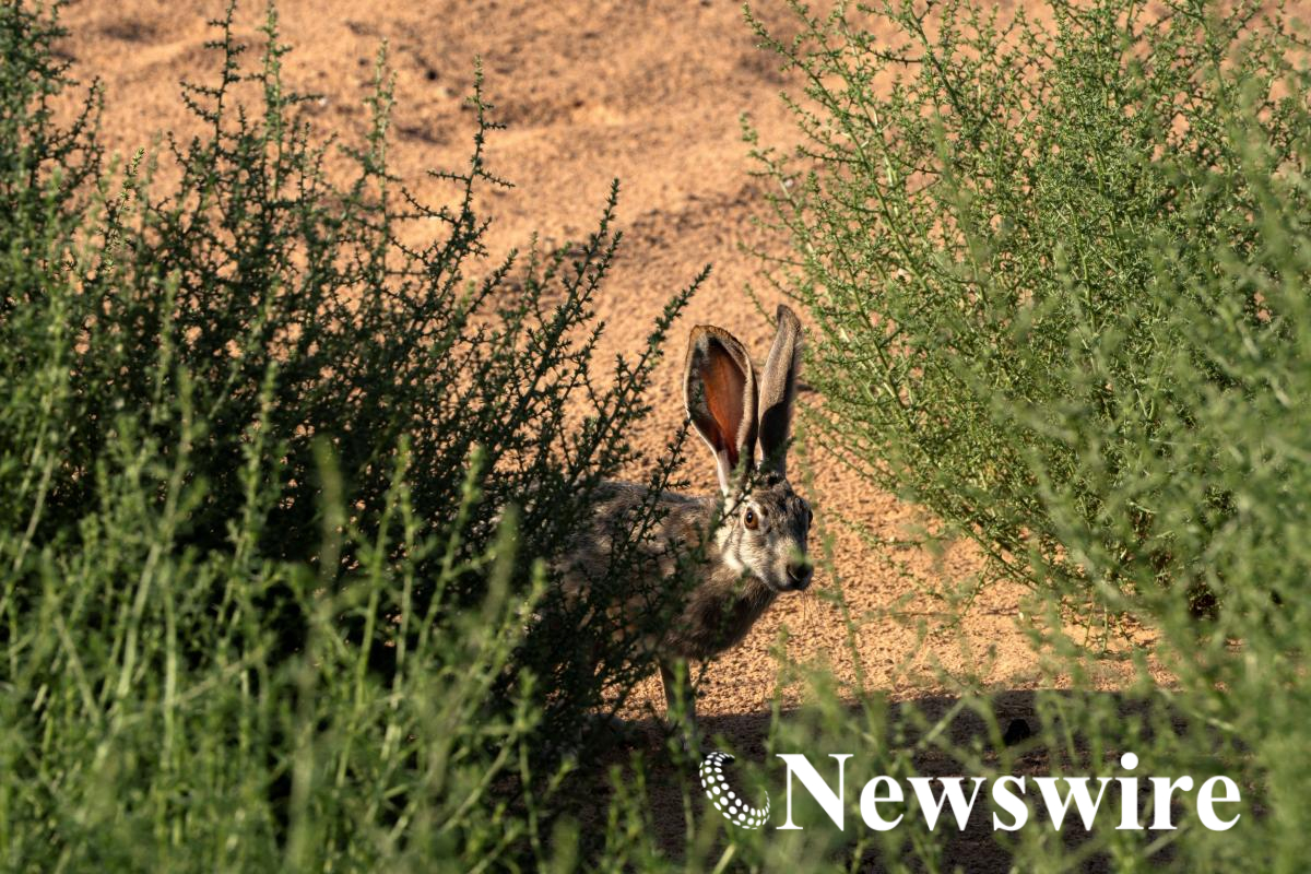 2026-08-31T044744Z_1728818688_RC229NA0LSU9_RTRMADP_3_USA-DROUGHT-UTAH.JPG
