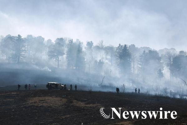 MPA PHOTO 2017 -5905-mobile.jpg